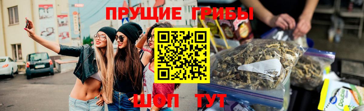 Моздок  Псилоцибиновые грибы мухоморы  хочу   Вход с VPN  Псилоцибиновые грибы Cubensis 